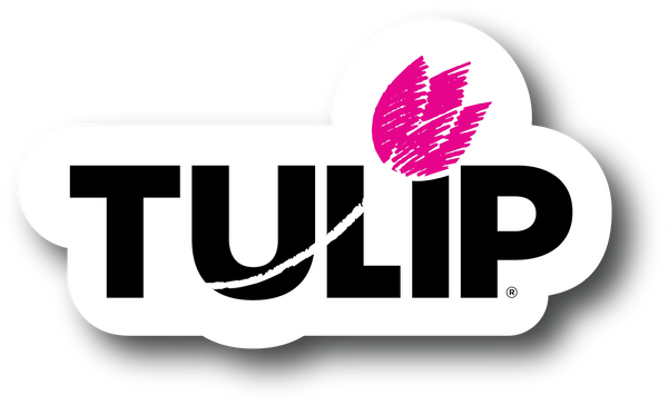 High-Quality Craft Paint, Fabric Dye, Tie-Dye Supplies & Art Kits  – Tulip Color Crafts